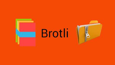 الگوریتم بروتلی