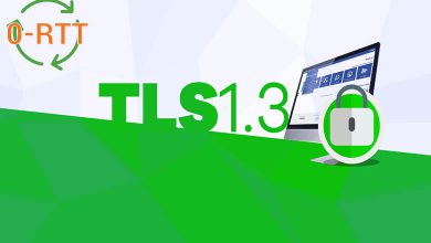 TLSv1.3 + 0RTT