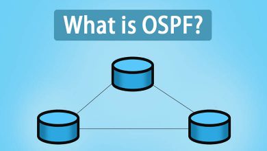 ospf چیست