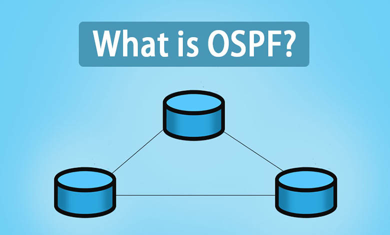 ospf چیست
