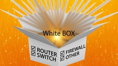 white-box چیست؟