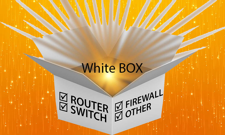 white-box چیست؟