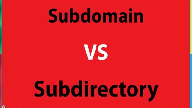 زیر شاخه یا زیر دامنه