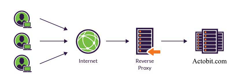 reverse proxy چیست