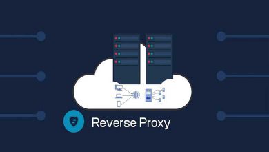 reverse proxy چیست