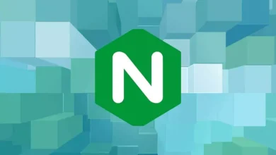 تاریخچه وب سرور Nginx